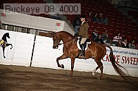 buckeye_08_4000 proof