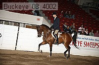buckeye_08_4002 proof