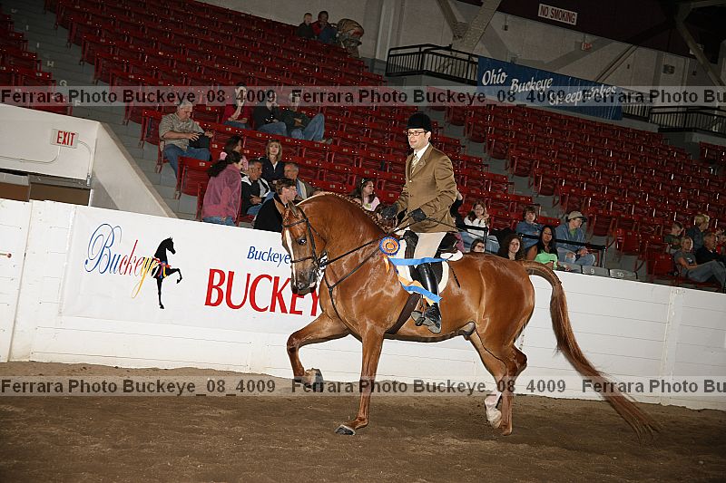 Proof buckeye_08_4009