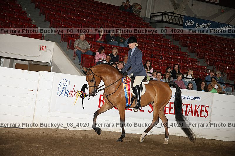 Proof buckeye_08_4020