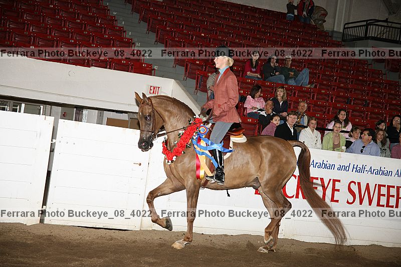 Proof buckeye_08_4022