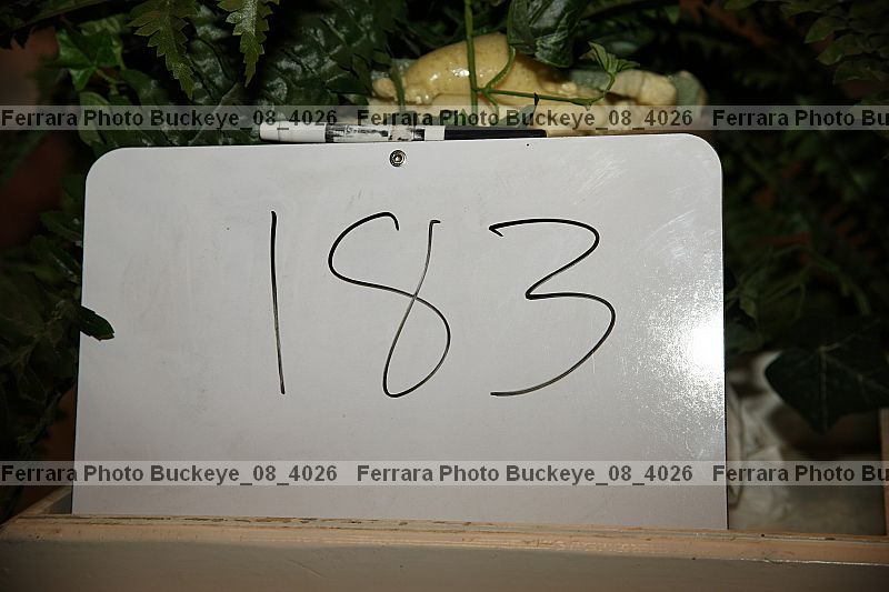 Proof buckeye_08_4026