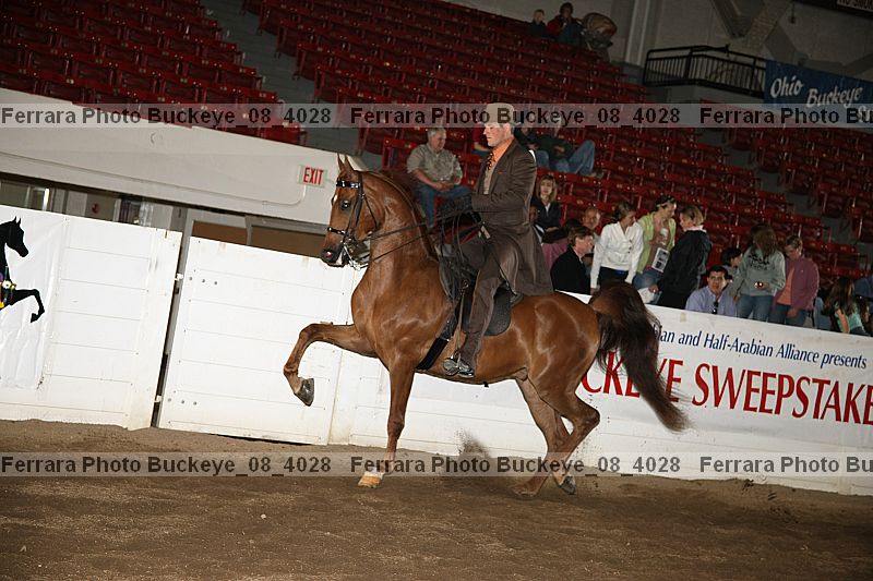 Proof buckeye_08_4028
