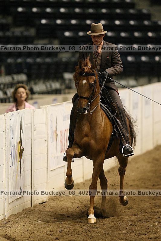 Proof buckeye_08_4029