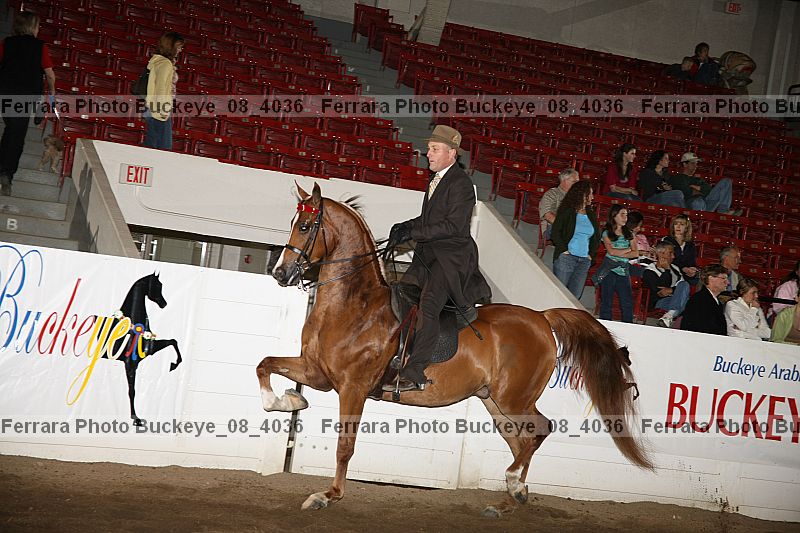 Proof buckeye_08_4036