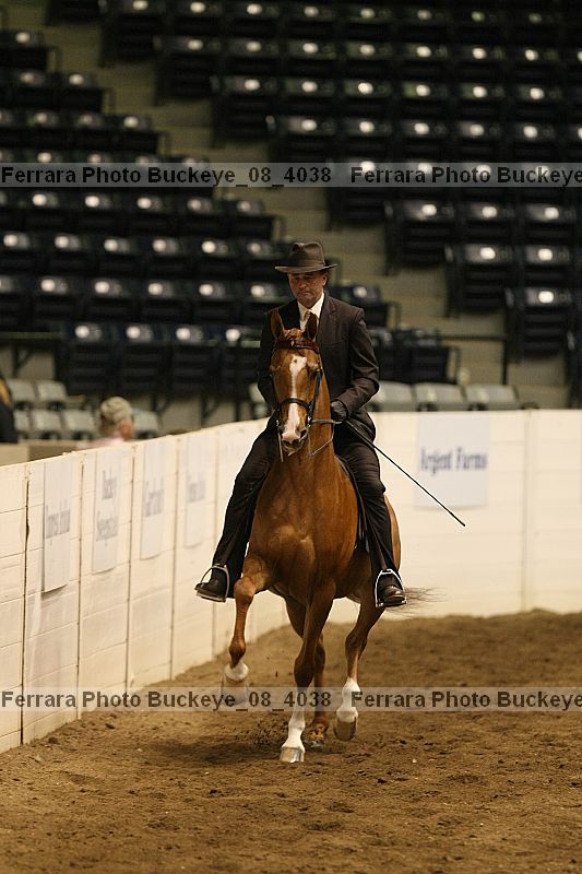 Proof buckeye_08_4038