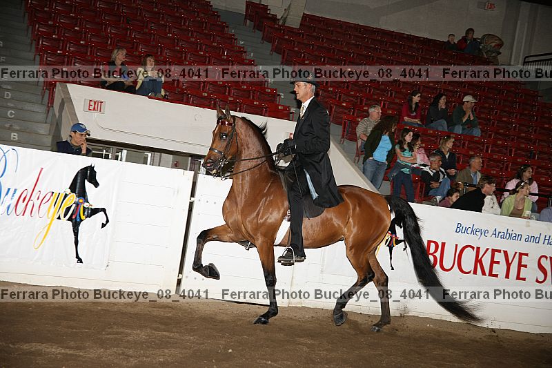 Proof buckeye_08_4041