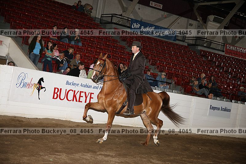 Proof buckeye_08_4045