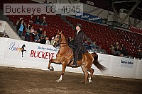 buckeye_08_4045 proof