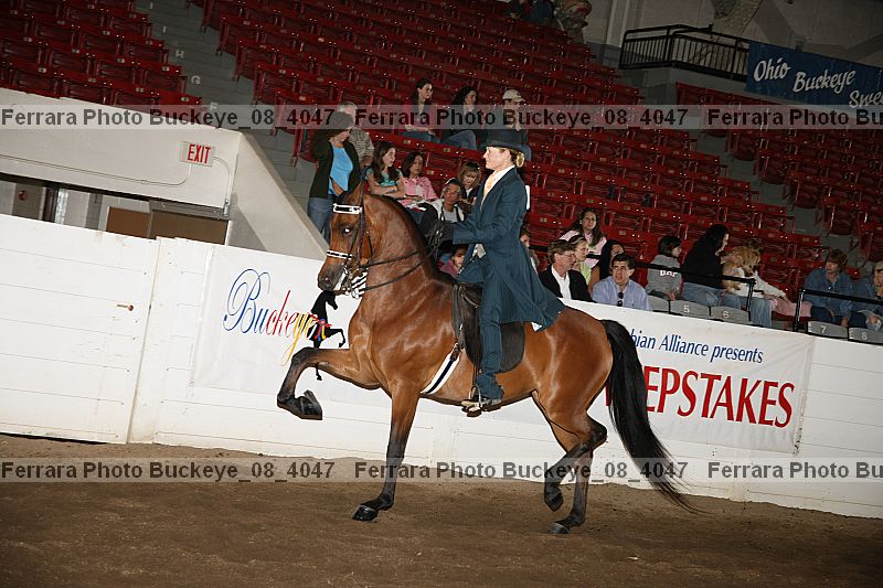 Proof buckeye_08_4047
