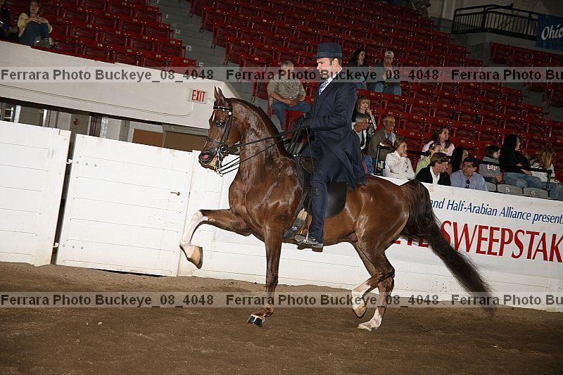 Proof buckeye_08_4048
