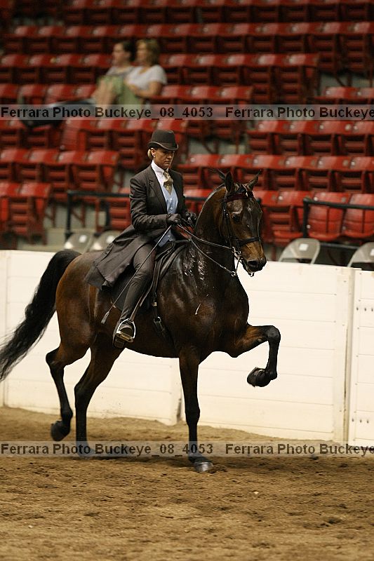 Proof buckeye_08_4053