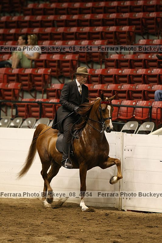 Proof buckeye_08_4054