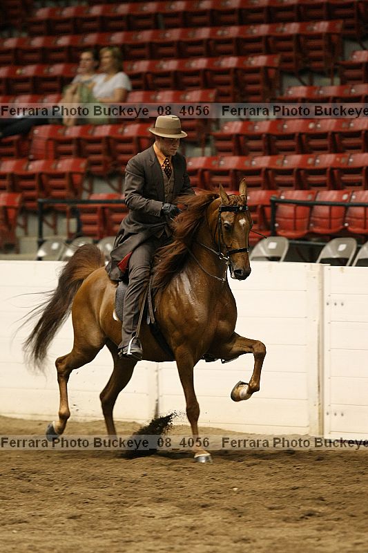 Proof buckeye_08_4056