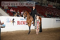 buckeye_08_4057 proof
