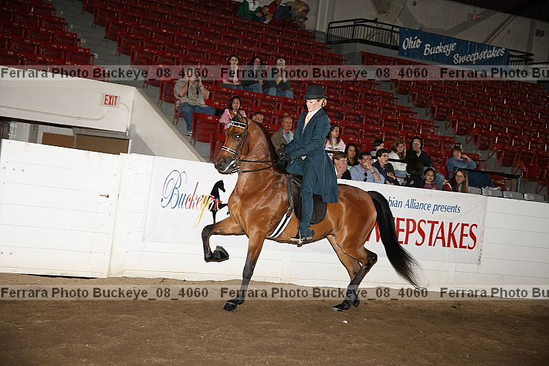 Proof buckeye_08_4060