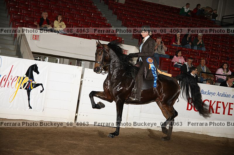 Proof buckeye_08_4063