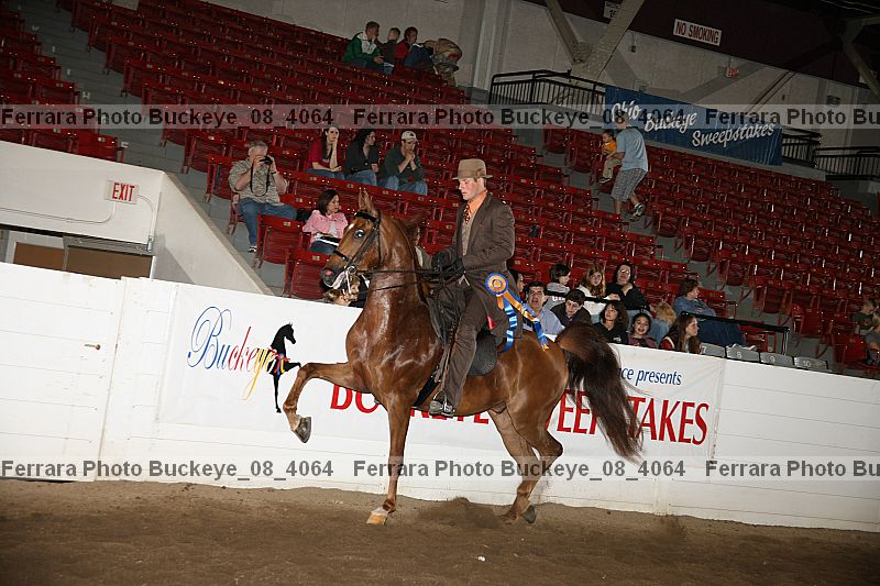 Proof buckeye_08_4064