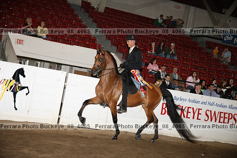 Proof buckeye_08_4065
