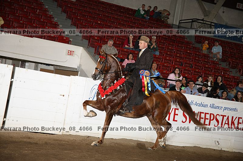 Proof buckeye_08_4066