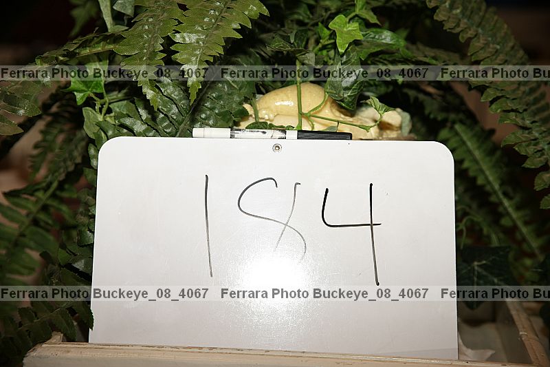 Proof buckeye_08_4067