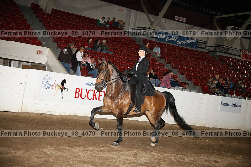 Proof buckeye_08_4070