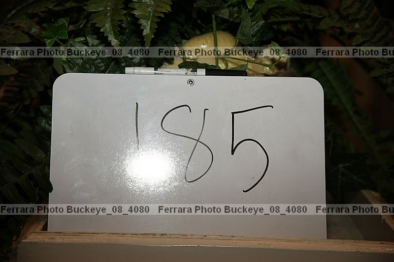 Proof buckeye_08_4080