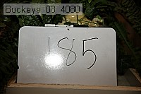 buckeye_08_4080 proof
