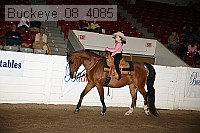 buckeye_08_4085 proof