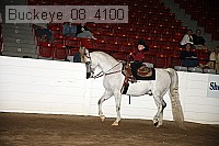 buckeye_08_4100 proof