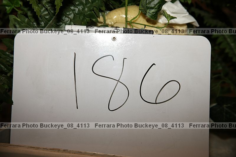 Proof buckeye_08_4113