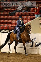 buckeye_08_4121 proof