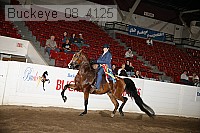 buckeye_08_4125 proof