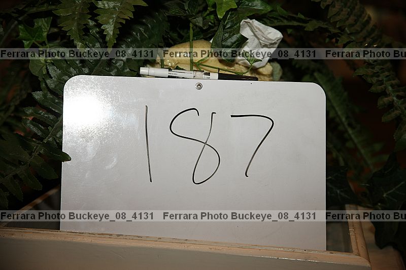 Proof buckeye_08_4131