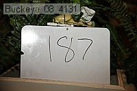 buckeye_08_4131 proof