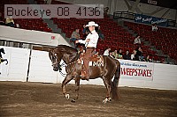 buckeye_08_4136 proof