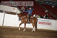 buckeye_08_4137 proof
