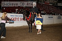 buckeye_08_4141 proof
