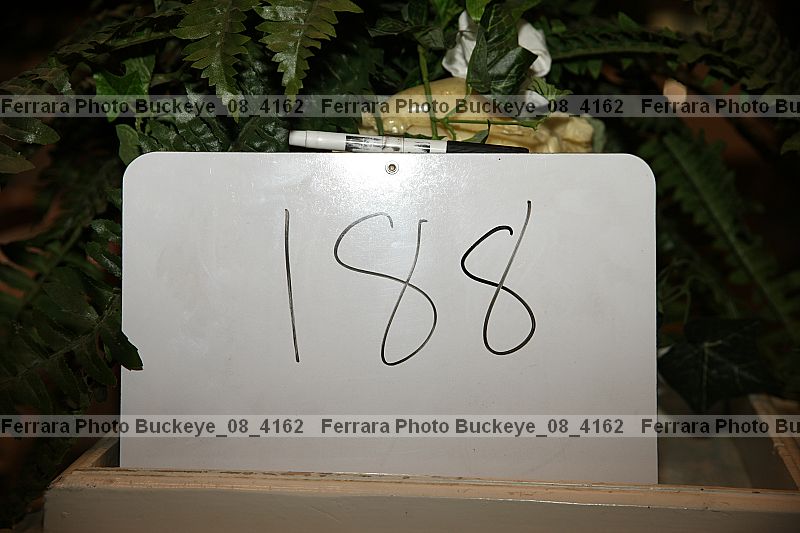Proof buckeye_08_4162