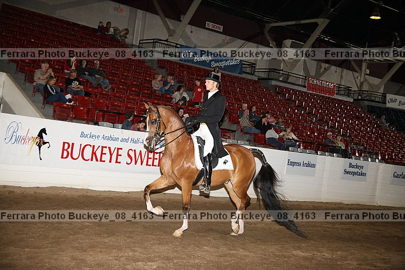 Proof buckeye_08_4163