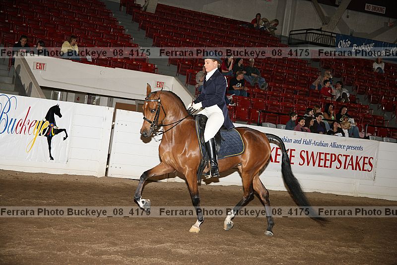 Proof buckeye_08_4175
