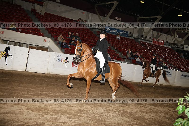 Proof buckeye_08_4176