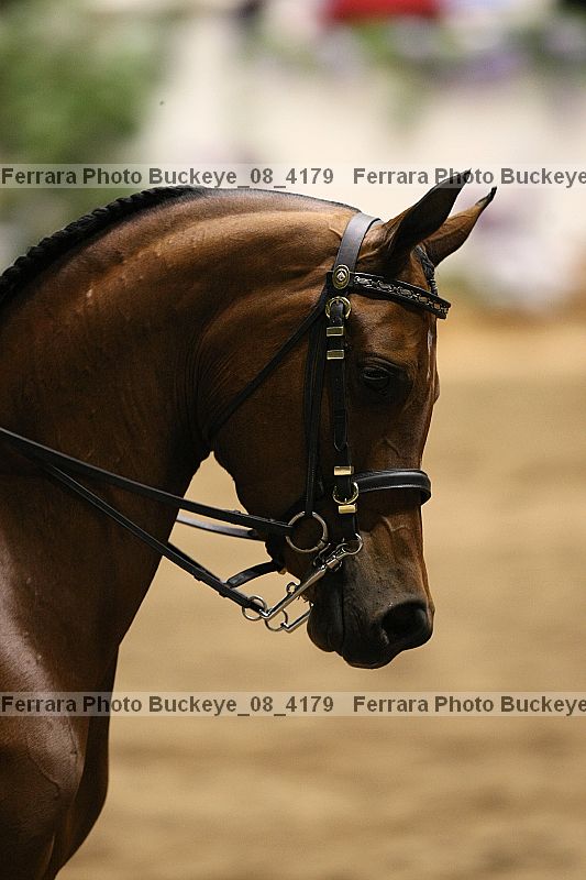 Proof buckeye_08_4179