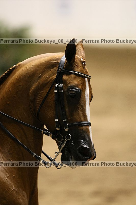 Proof buckeye_08_4180