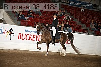 buckeye_08_4183 proof
