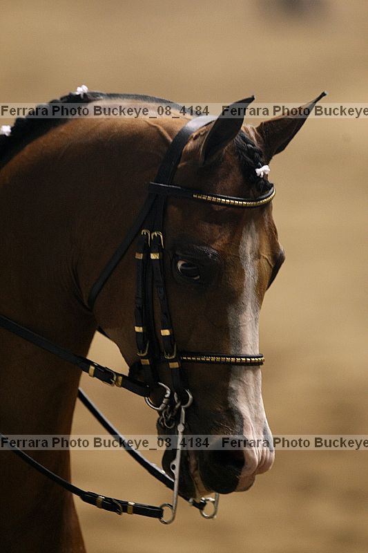 Proof buckeye_08_4184