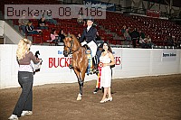 buckeye_08_4186 proof