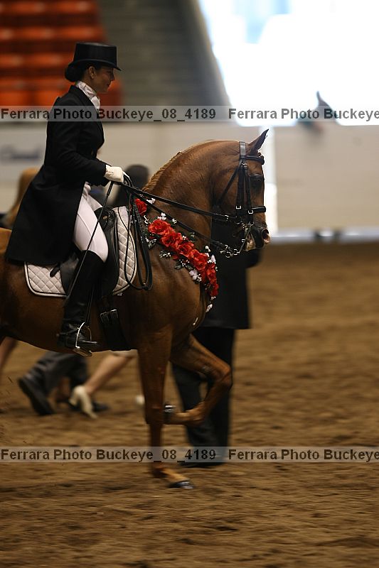 Proof buckeye_08_4189