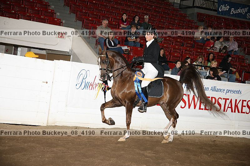 Proof buckeye_08_4190
