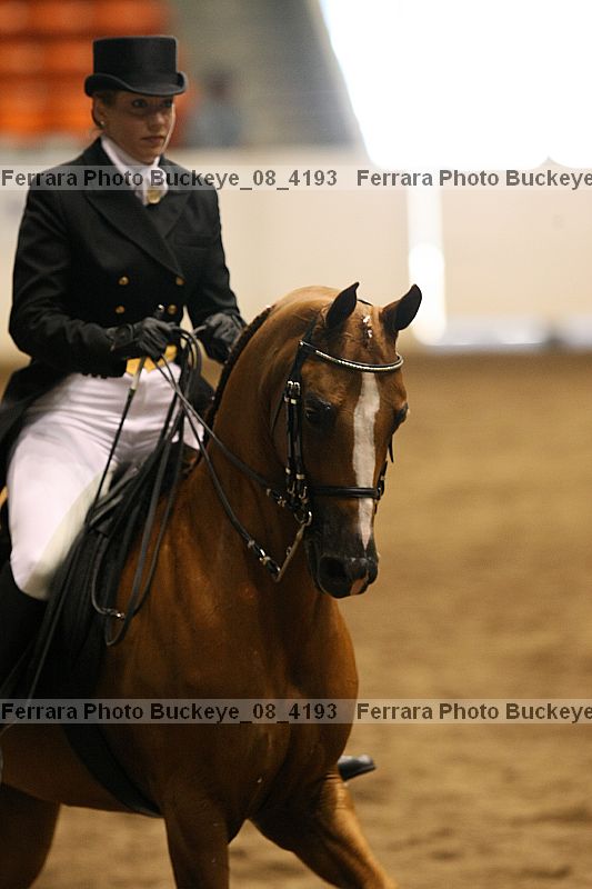 Proof buckeye_08_4193